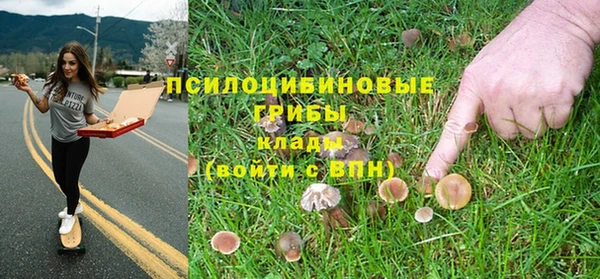 прущая мука Нязепетровск