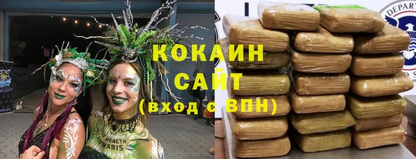 ALPHA PVP Остров