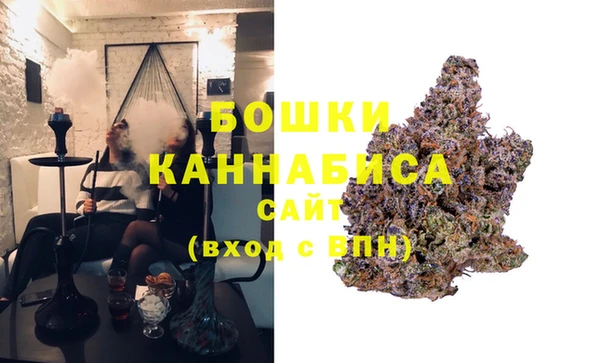 ПСИЛОЦИБИНОВЫЕ ГРИБЫ Осташков