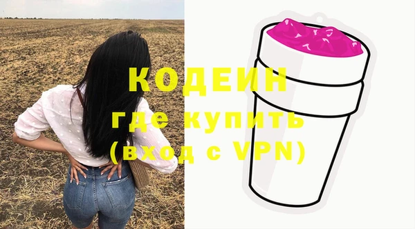 ПСИЛОЦИБИНОВЫЕ ГРИБЫ Осташков