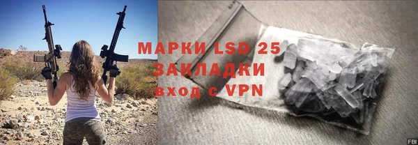 ПСИЛОЦИБИНОВЫЕ ГРИБЫ Осташков