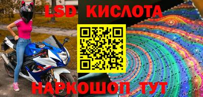 крисы Абакан