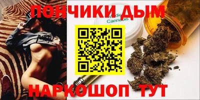 крисы Абакан