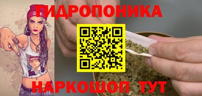 крисы Абакан