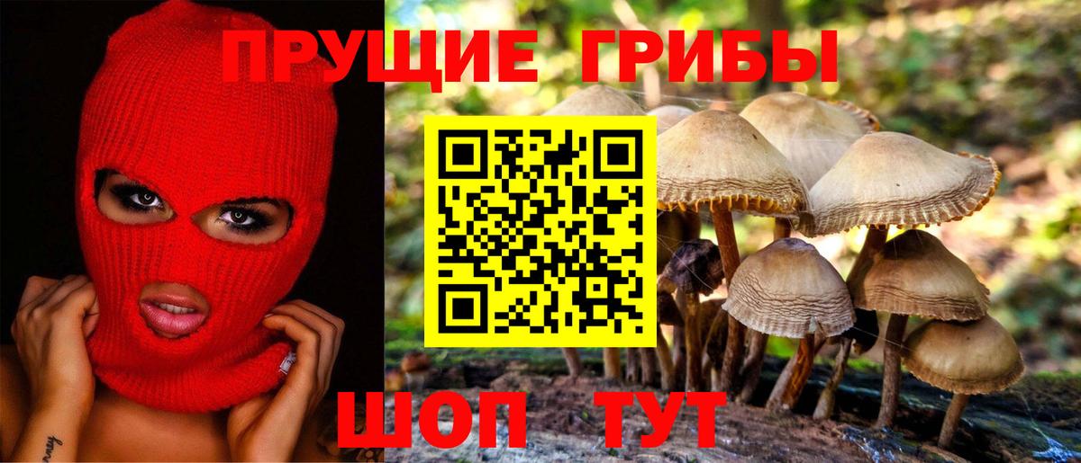 Псилоцибиновые грибы прущие грибы  Корсаков  Галлюциногенные грибы Magic Shrooms 