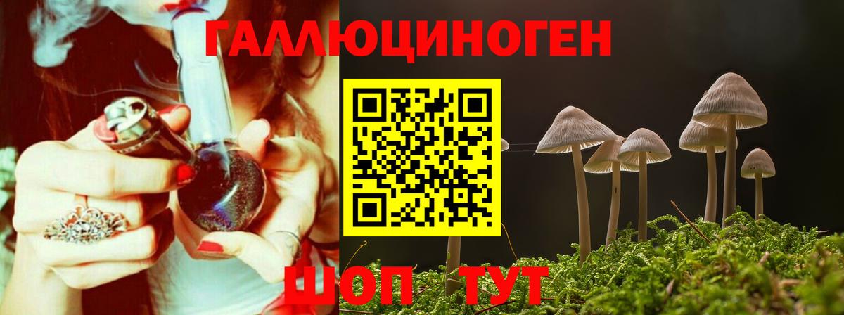 Псилоцибиновые грибы Psilocybe  Вход с VPN  Корсаков 